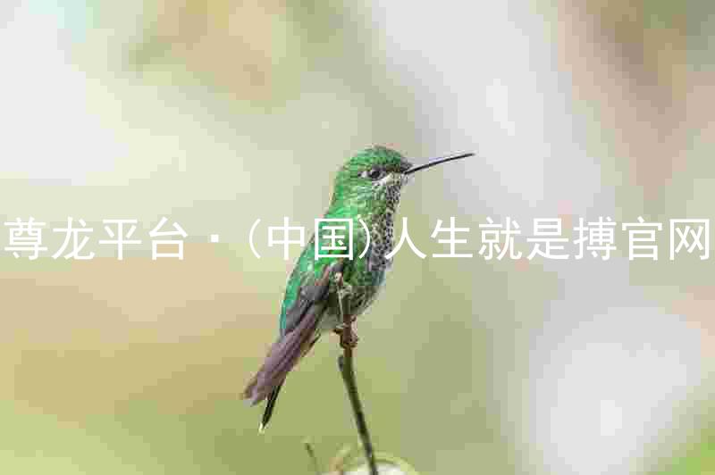 尊龙平台·(中国)人生就是搏官网