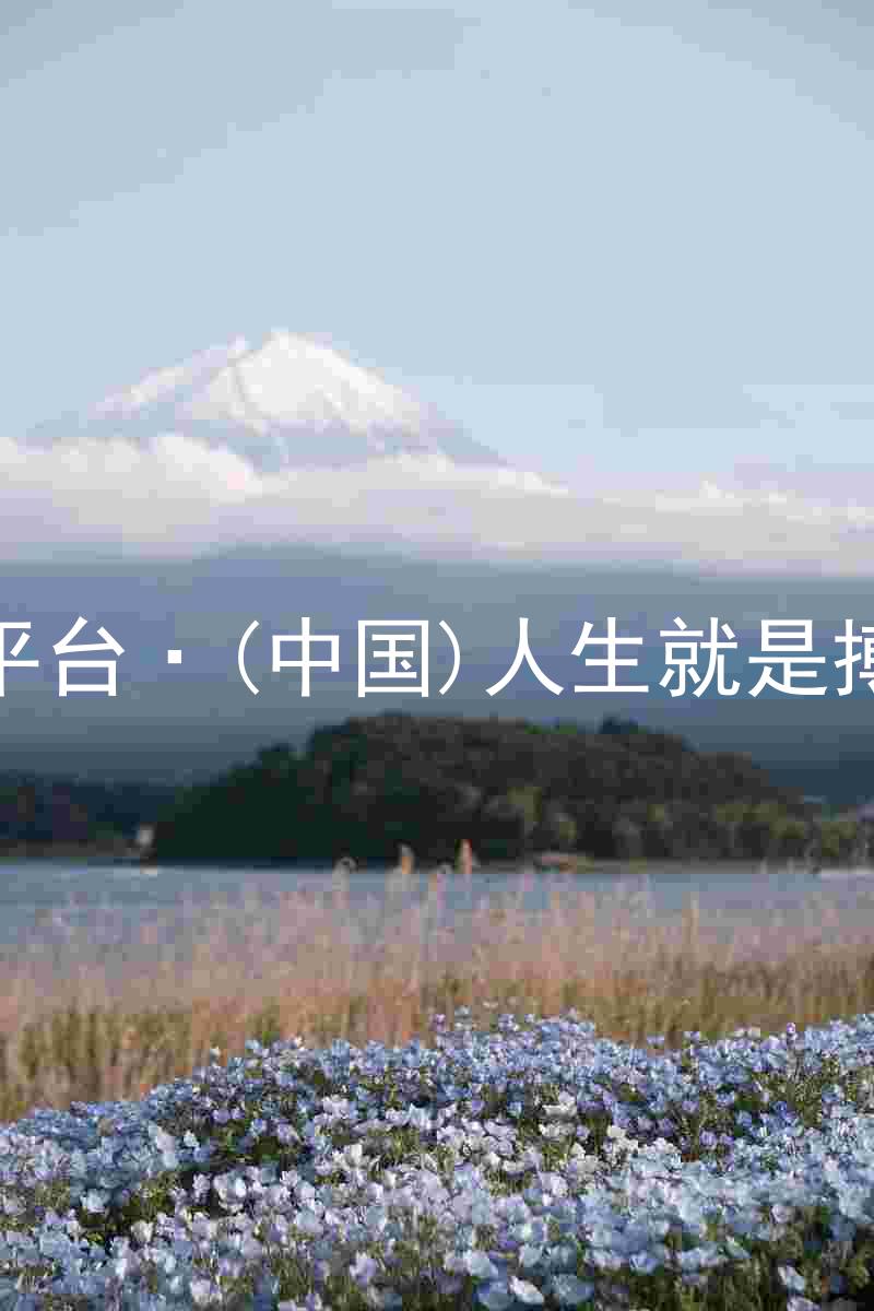 尊龙平台·(中国)人生就是搏官网