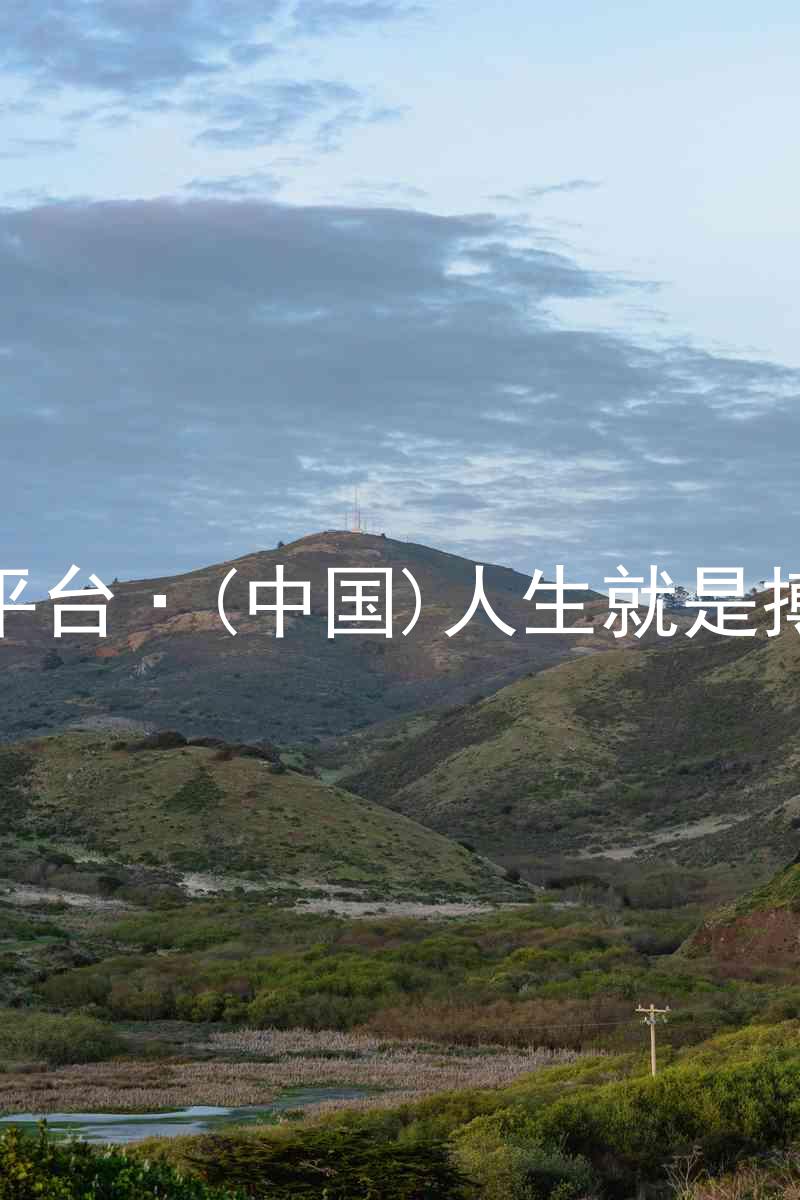 尊龙平台·(中国)人生就是搏官网