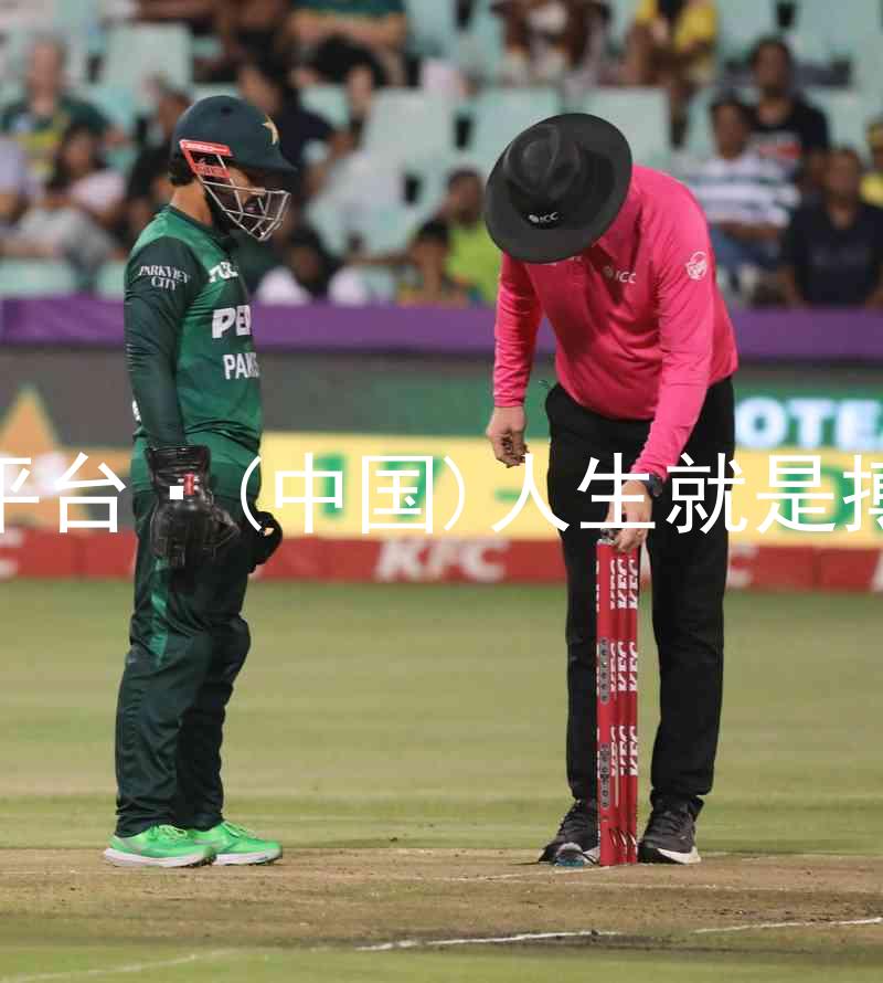 尊龙平台·(中国)人生就是搏官网
